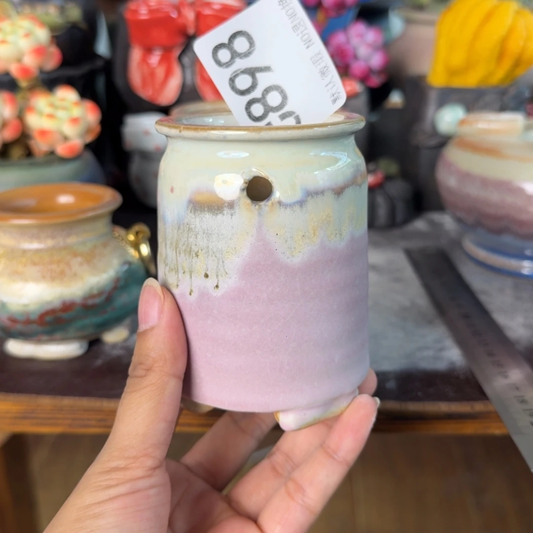 重庆小燕子欢迎大家898