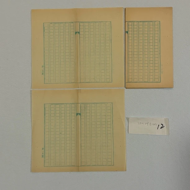 【象朴斋】上世纪老笺纸12张 尺寸28✖️24.5cm 七分熟