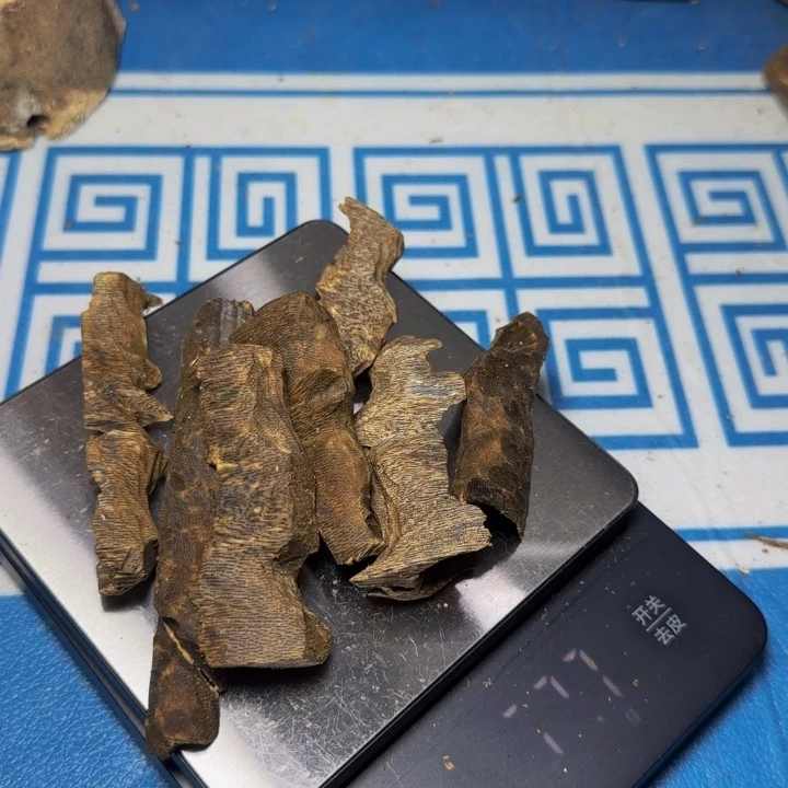 木质海南黑奇壳料52克