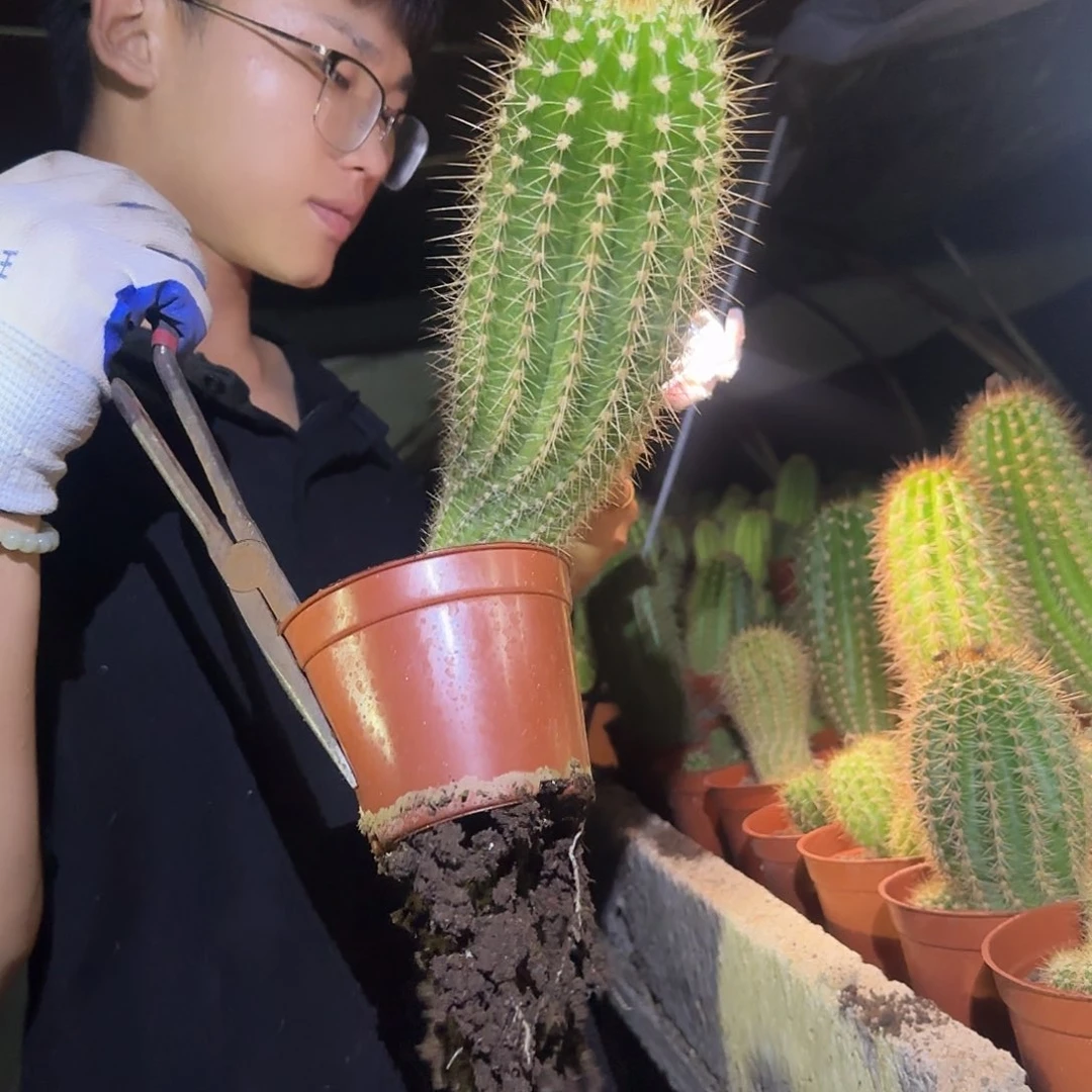 无花朵逍*尤哈哈哈哈哈哈哈哈