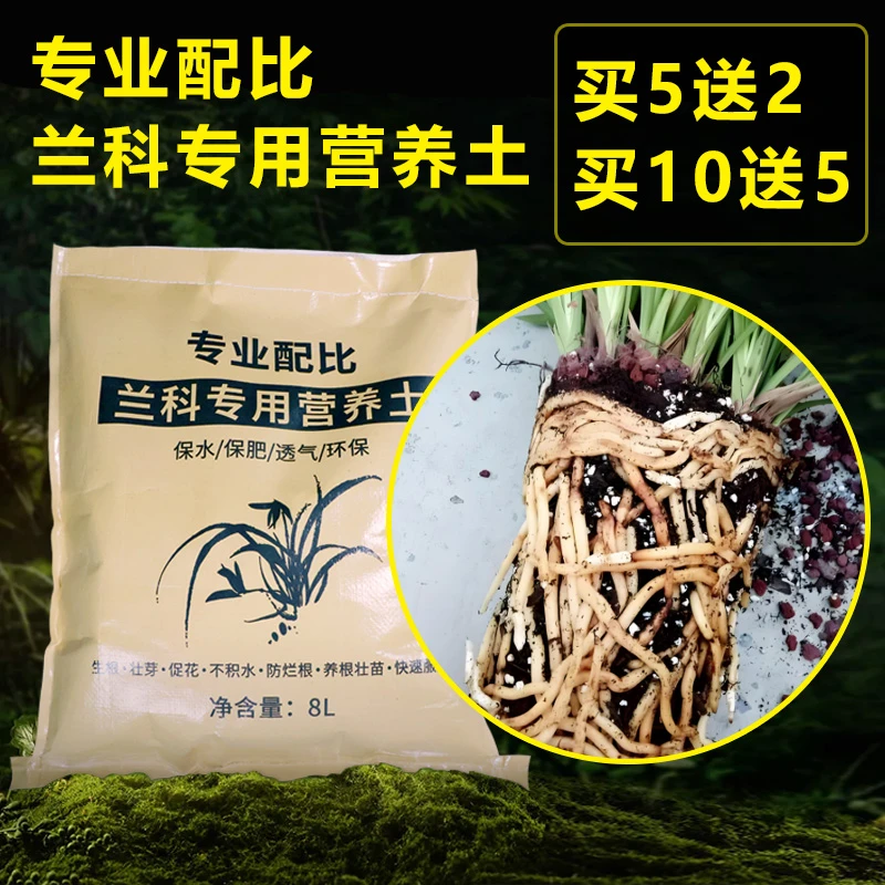 赵鹏推荐--精品兰花专用土
