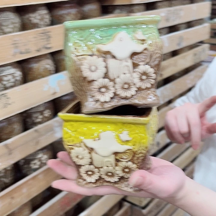 有孔.凑单10元陶瓷花盆发货！