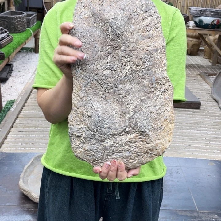 花盆盆景异性盆花盆w40