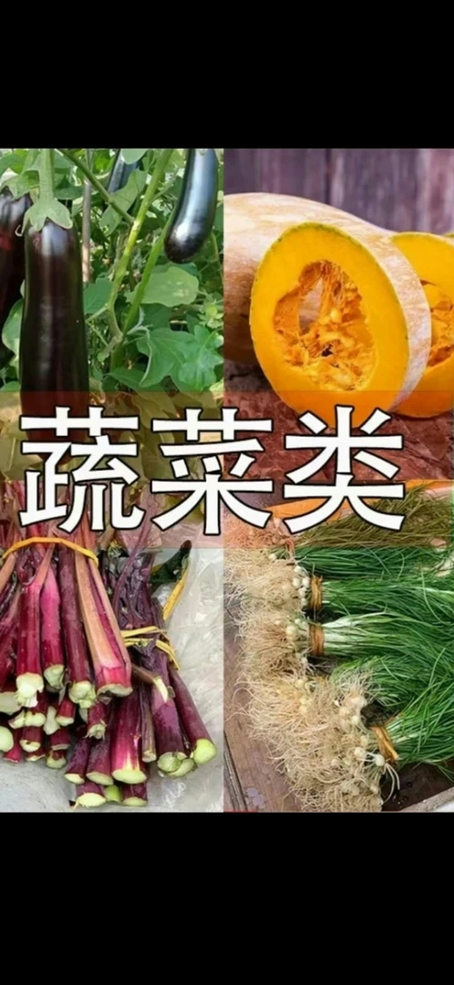 江西老百姓新鲜蔬菜