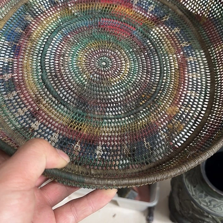 贝壳杉用****8Cgcgfgghghghgh