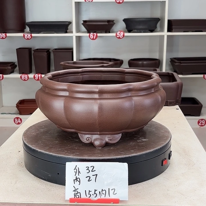 花盆紫砂南瓜菱形