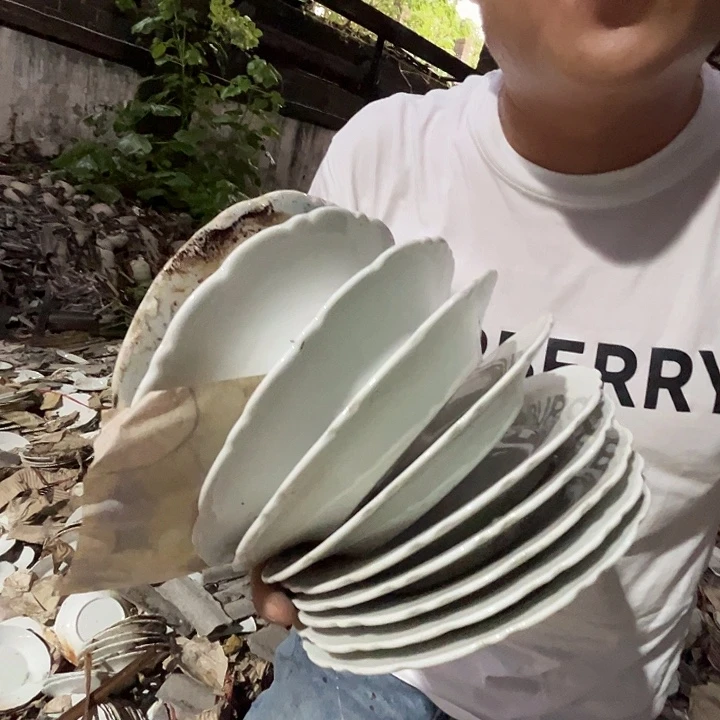 景德镇陶瓷老白胎7寸菜盘10只
