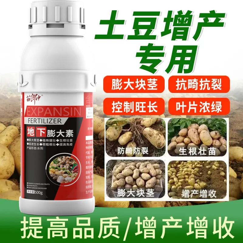 土豆膨大素地下农作物块茎膨大剂增产增收不裂果营养肥