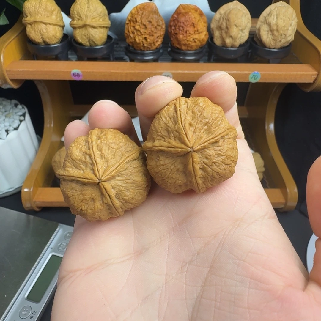 把件文玩核桃5号将军印36尺