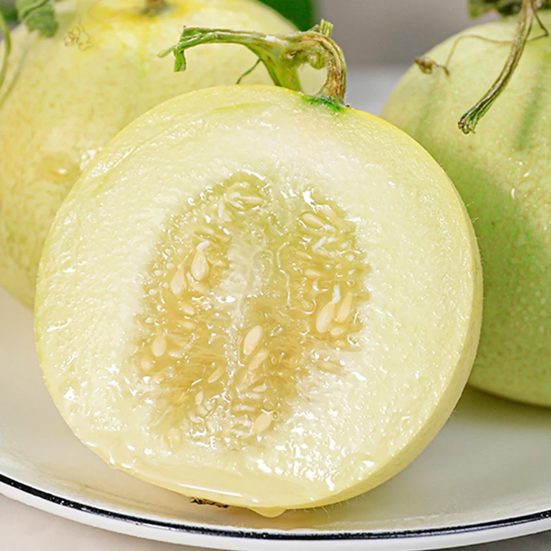 【遇见美物】云南郁金香小甜瓜 4.5斤5-8个