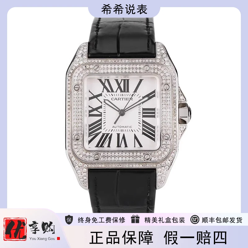 99新 Cartier/卡地亚 希希说表山度士精钢自动男表后镶钻W20073X8