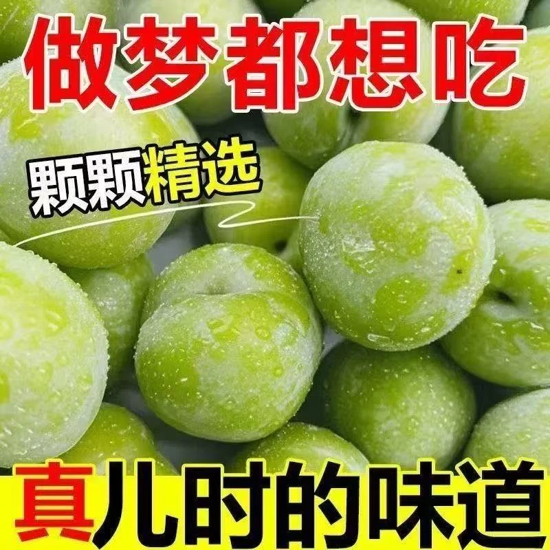 正宗贵州青脆脱骨李头茬新鲜应季水果脱骨脆甜