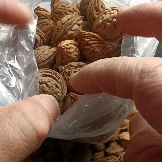 手串桃核野生山桃核17.5一斤随机发