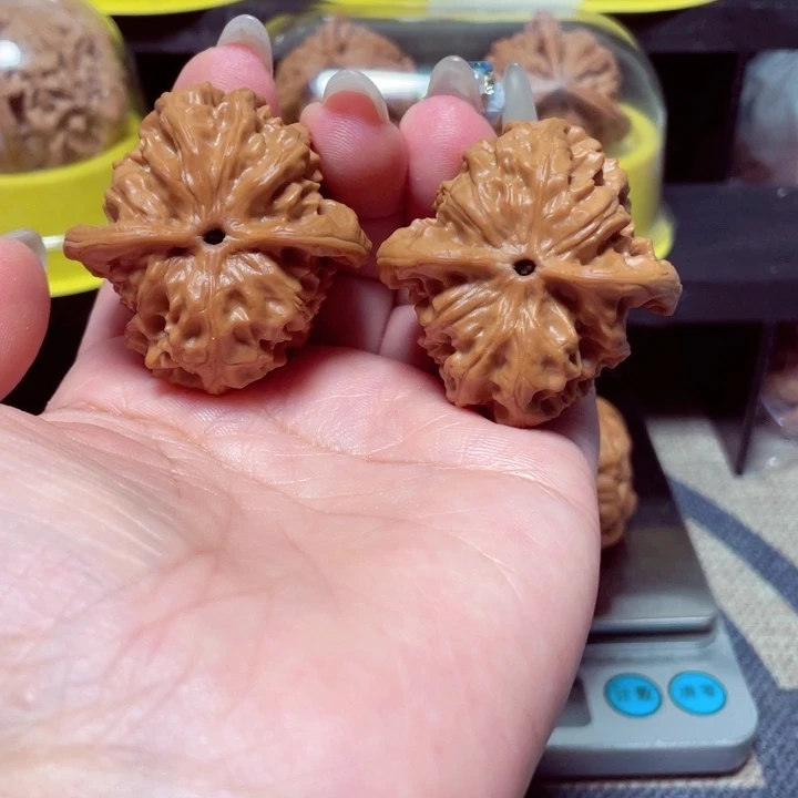 文玩核桃把件野狼41