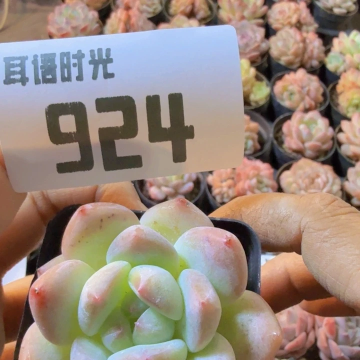 924.qqqwwwwwqqqqq