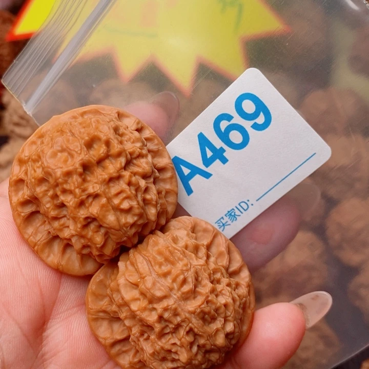 血麒麟41尺469号123