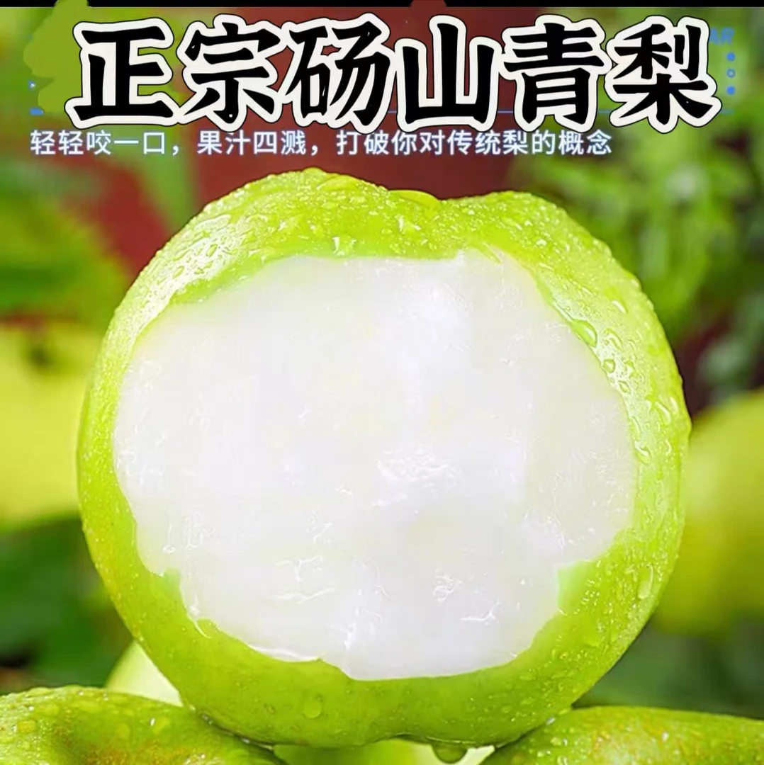 安徽砀山皇冠青梨4.5-5斤酥脆多汁新鲜应季水果现