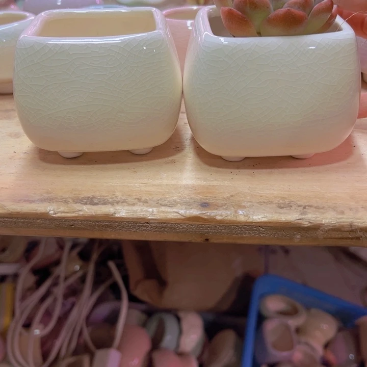 陶瓷花盆当场凑满12包邮