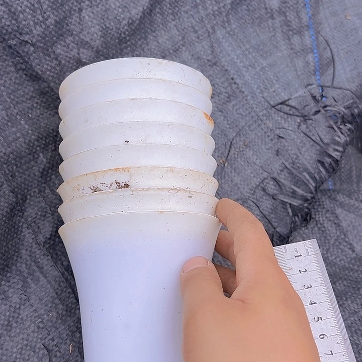 万象盆口径11高12发10个