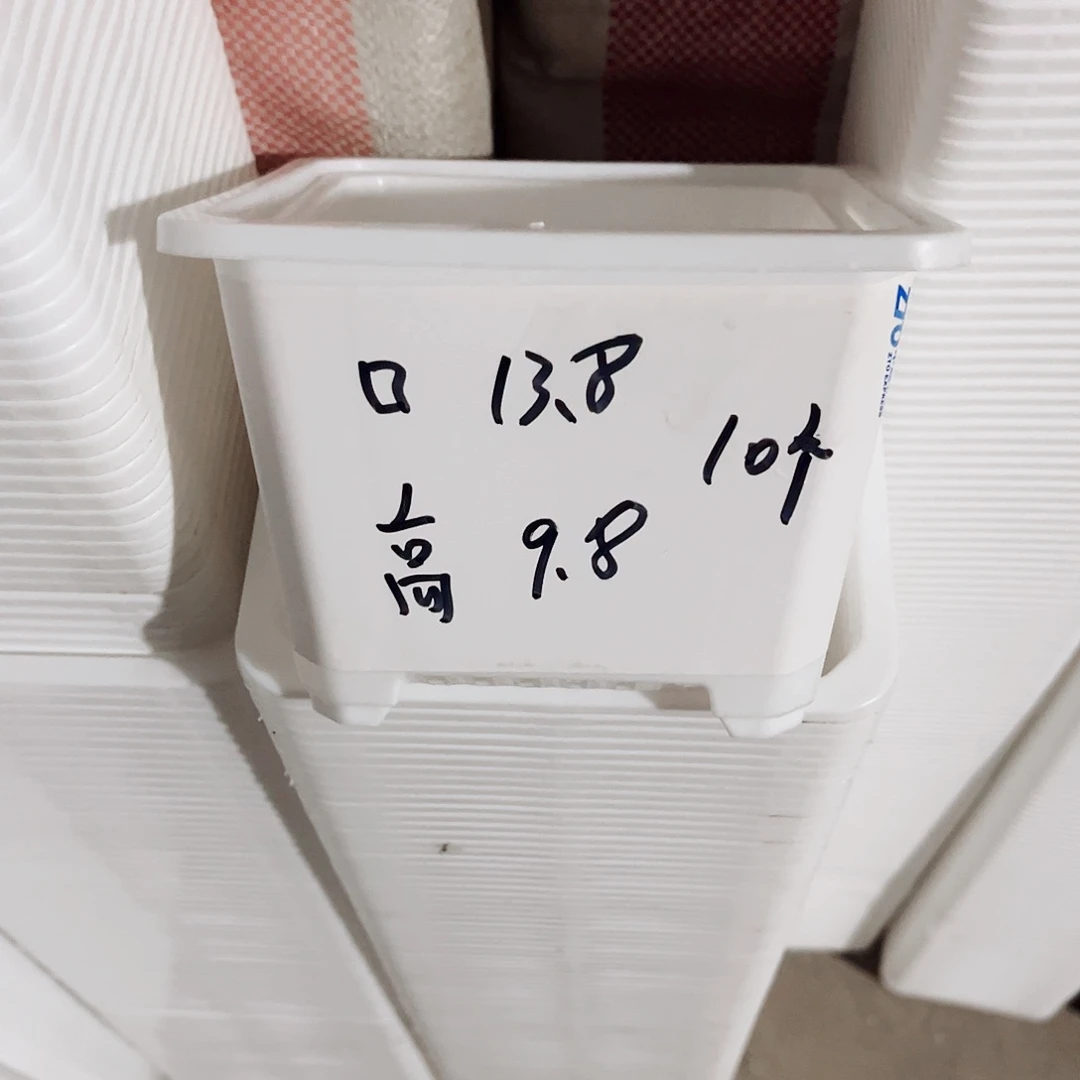 树脂福利款13方白色20个无托