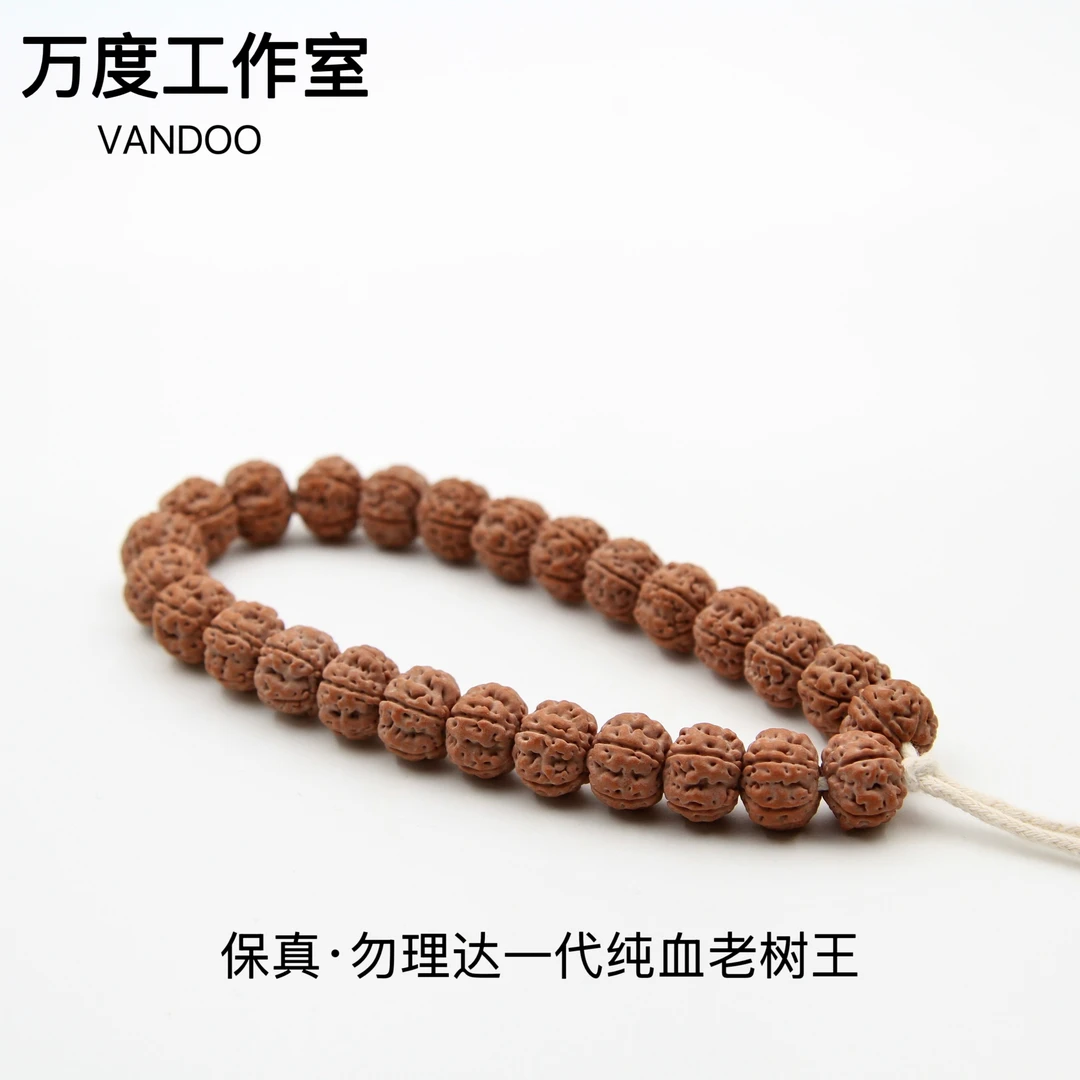 【万度】-A01-老树王-勿里达-小金刚单圈-一代勿里达纯血粉红皮