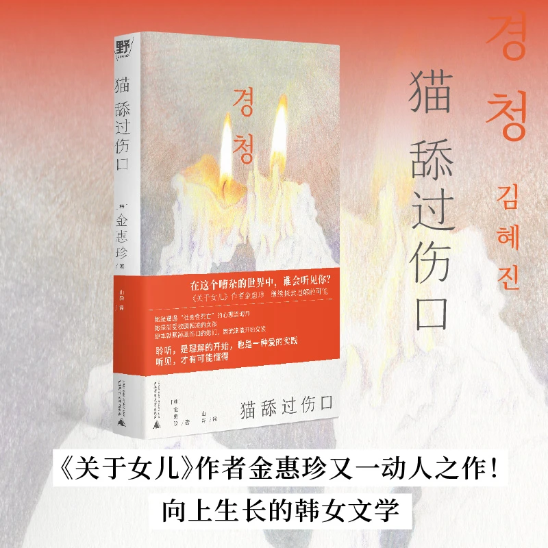 猫舔过伤口  正版书籍精选好书