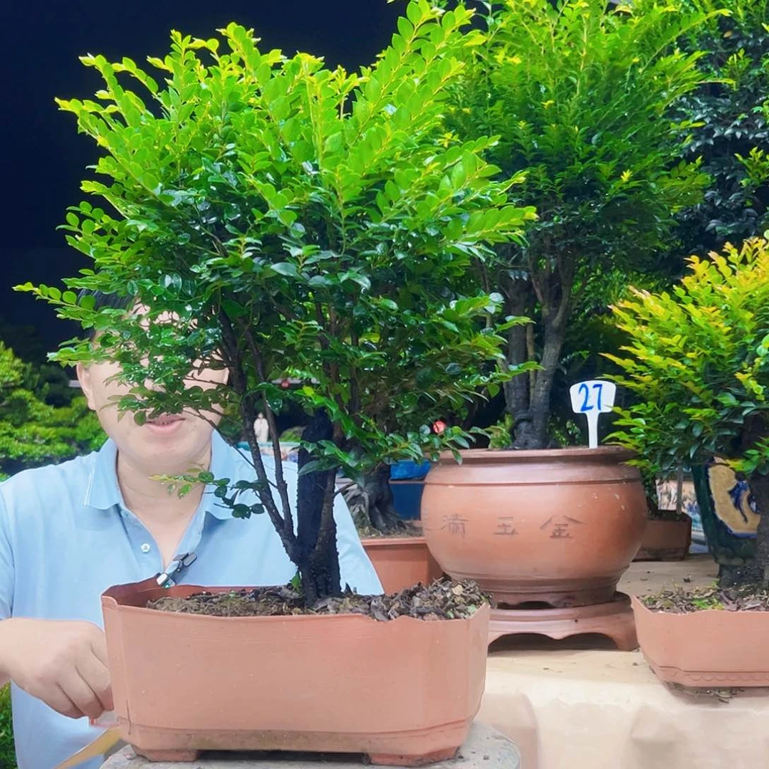 无花朵奔***乐12345678