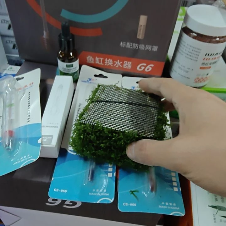 红海倒吊鱼莫斯4片 垂泪莫斯