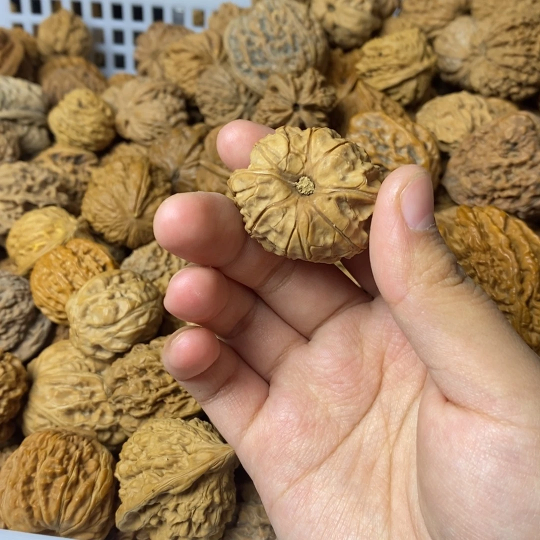老***、大叶紫檀（黑酸枝木类）