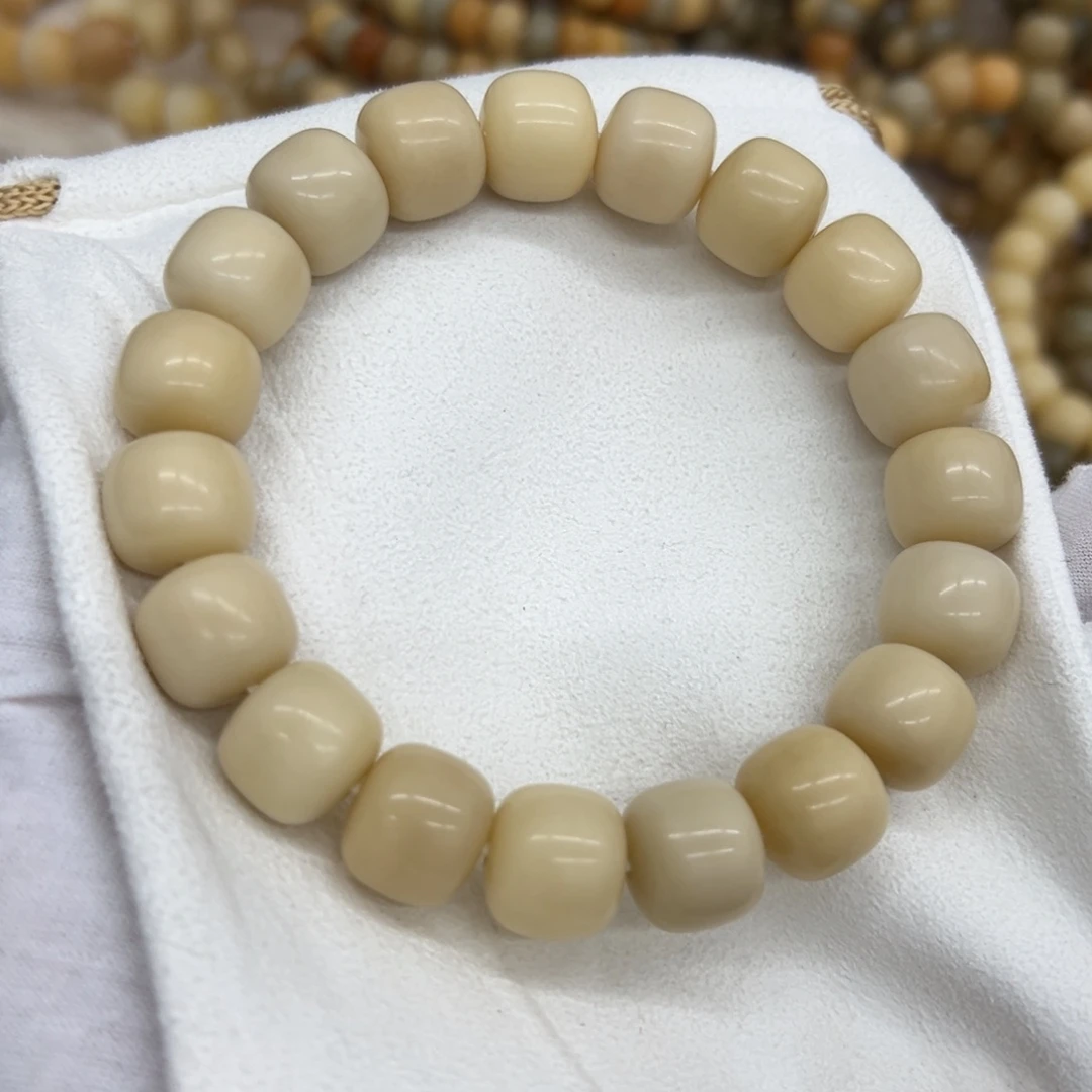 吊坠菩提根/象牙果15干磨燕麦奶咖677