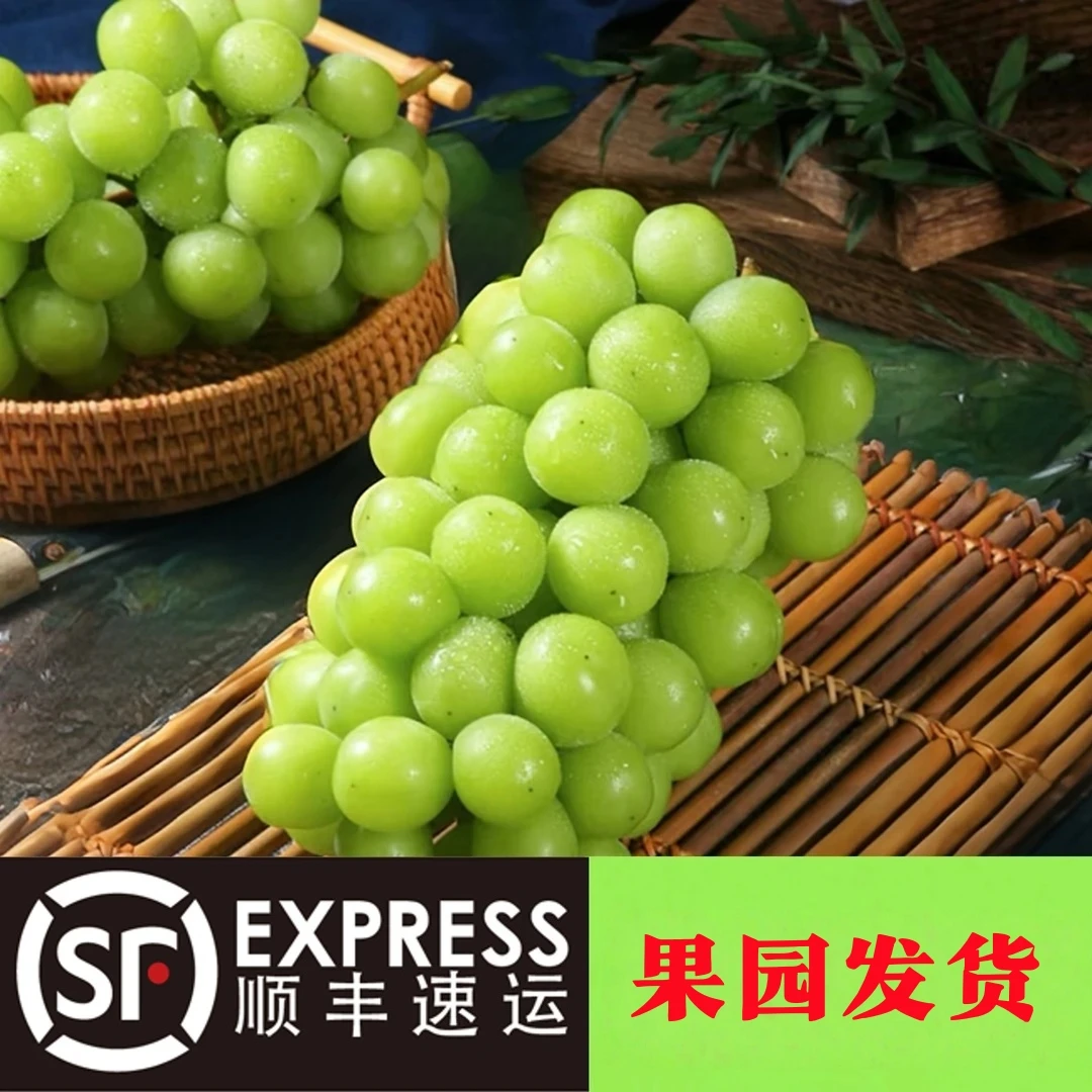 礼盒彩箱【中秋好礼】脆甜有玫瑰香现摘现发阳光玫瑰晴王葡萄自然熟