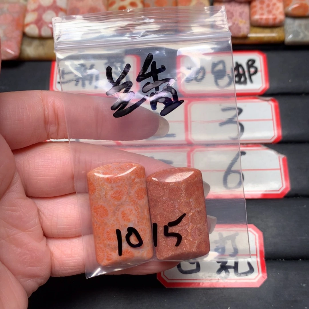 【闪购商品】未镶嵌颈饰硅化玉兰**静