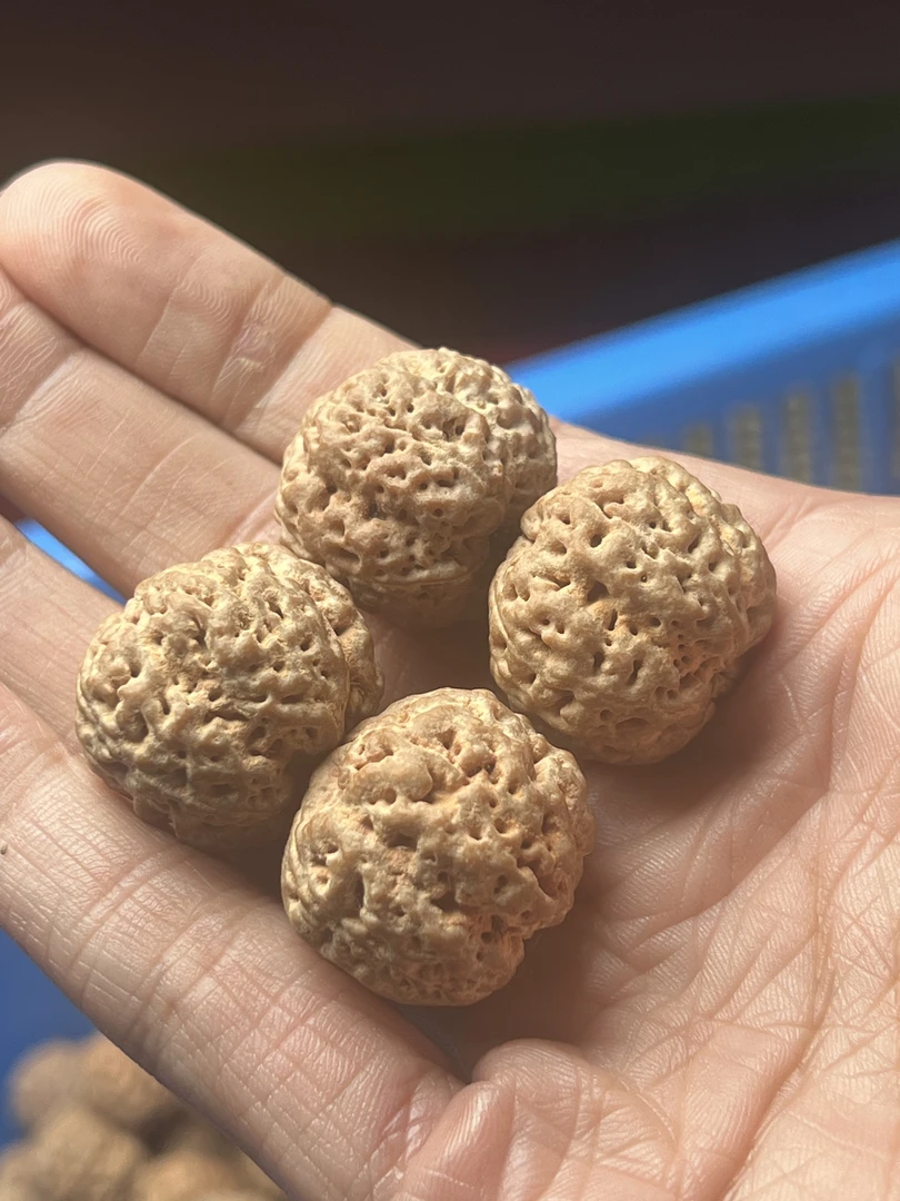 泰森！粗筋梅花大金刚手串