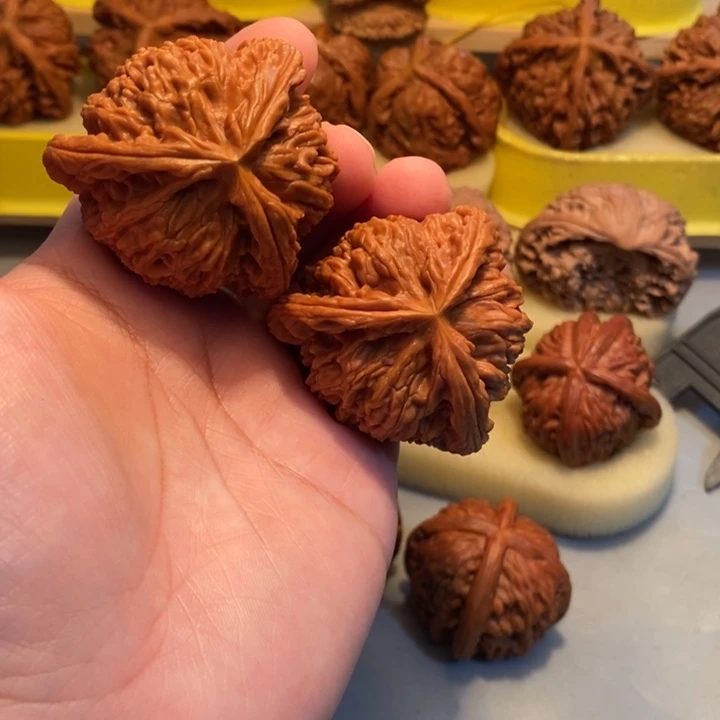 P***珂把件文玩核桃Hhhhhhhbb