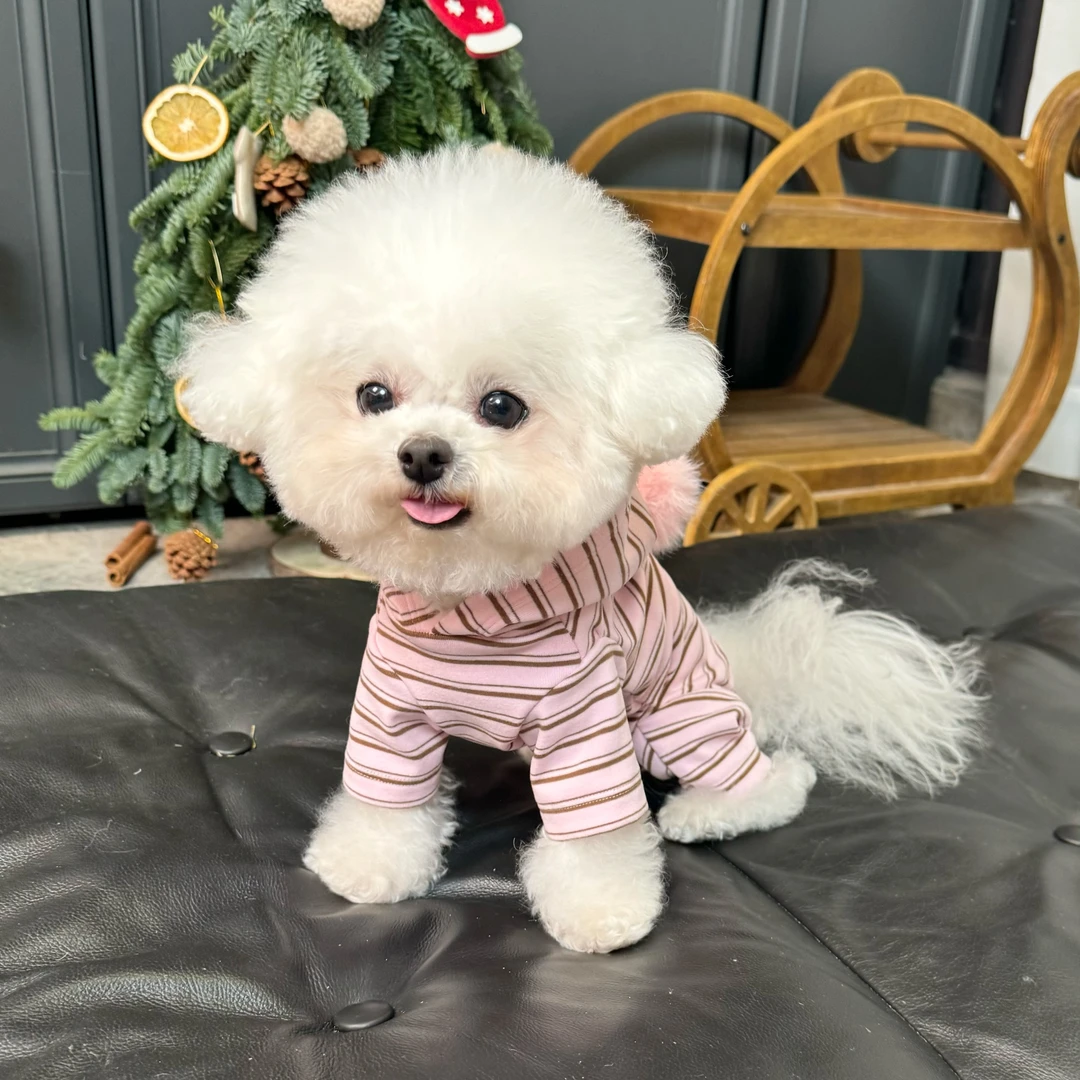 五只小白熊原创宠物衣服秋冬新款高弹德容条纹包肚衣狗狗猫四脚裤