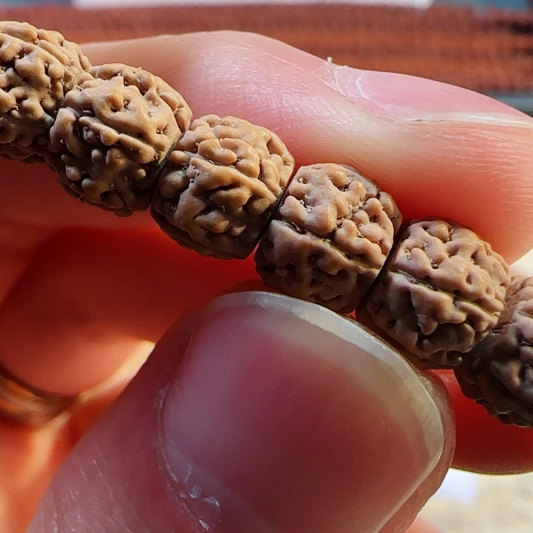 【闪购商品】金刚菩提吊坠一代龙一等➕➕福利8仅此一条