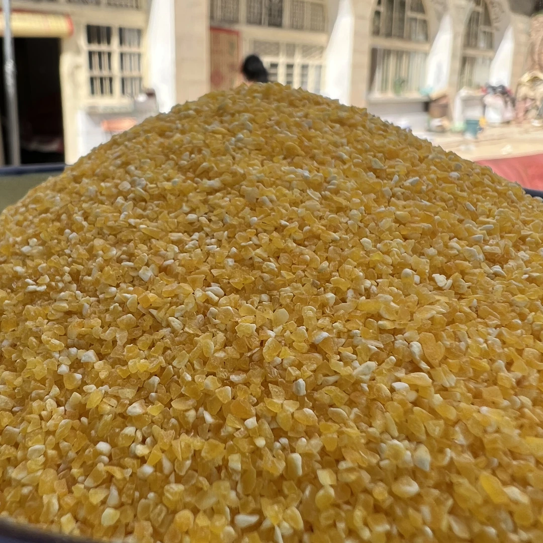 陕北农村旱地 玉米糁子