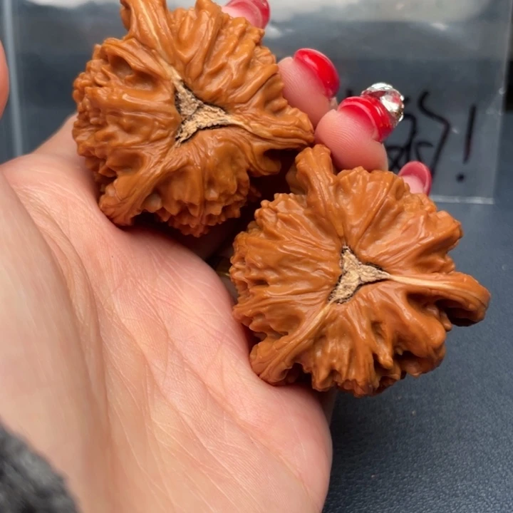 谢***强文玩核桃吊坠白狮子