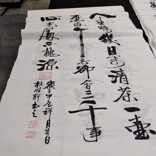 翰墨杜胜轩老师作品一副