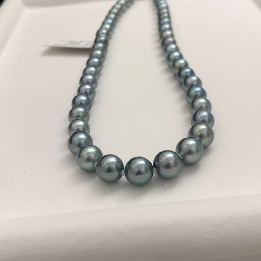 颈饰海水珍珠未镶嵌8-9.9mm黑珍珠项链