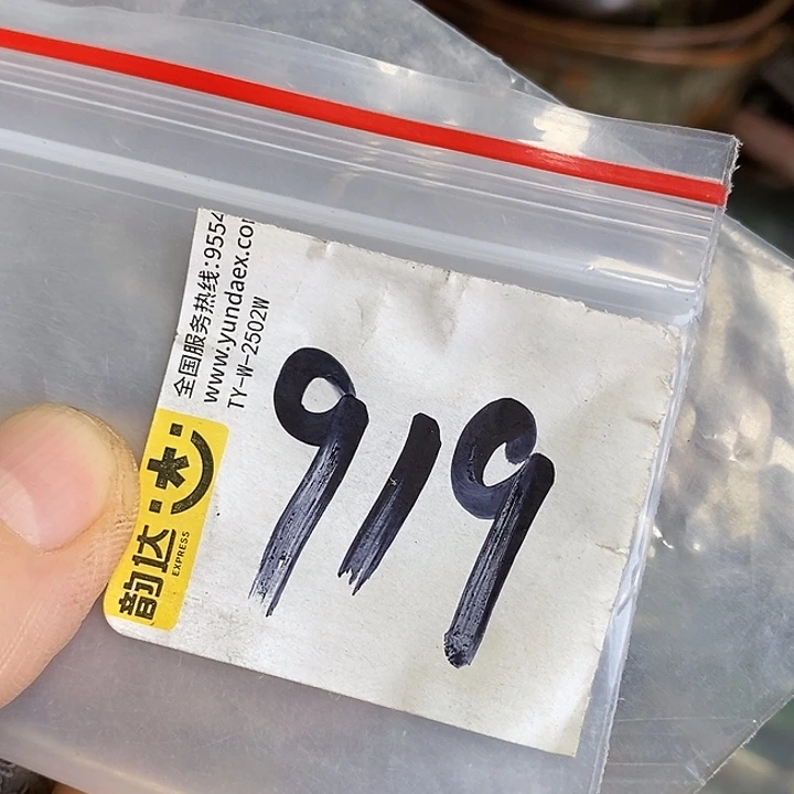 有***成龙脊菩提吊坠喜乐购专项链接