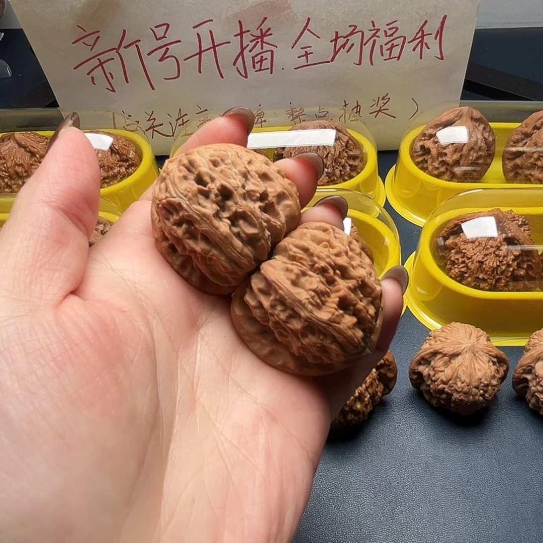 核桃37尺寸白狮子