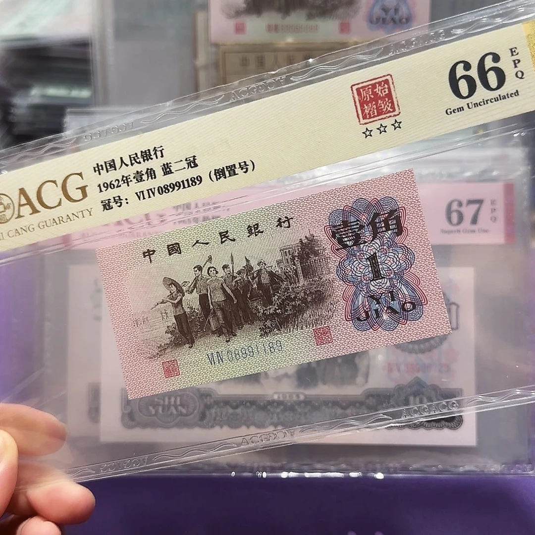塑料08991189。。。。倒置褶皱