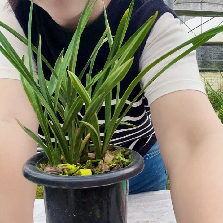 澜***苑完全开放环球荷顶