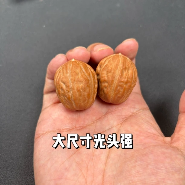 文玩核桃 大尺寸光头强福利款 尺寸约2.8cm