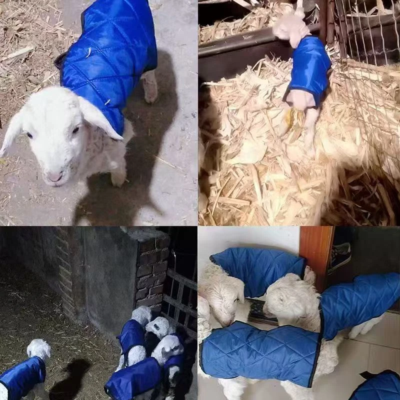 新生羔羊保暖衣小羊马甲羊羔马甲山羊绵羊防风防寒防水通用羊马甲