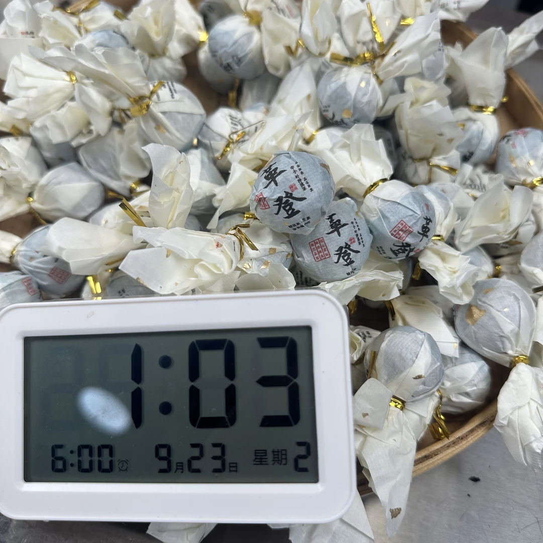 【550号】2025年革登中小叶种生茶龙珠（9月22号）C
