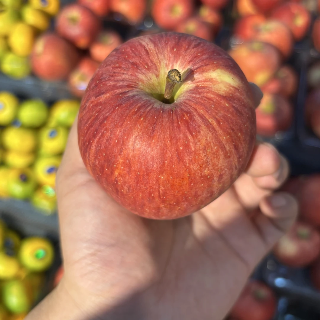 云南米奇啦苹果（3斤）云南省