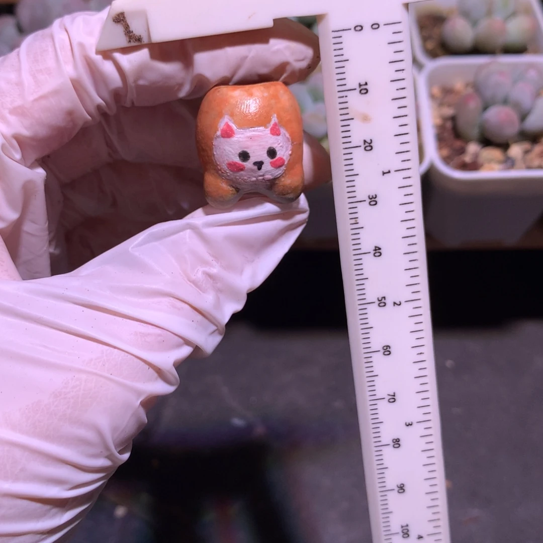 小可爱特价还好哈哈哈