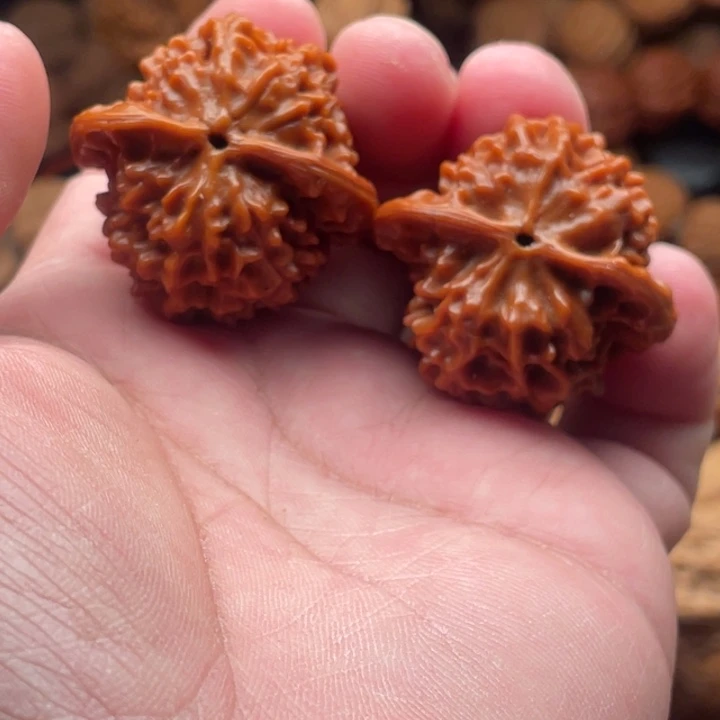 文玩核桃吊坠真*1珊瑚塔